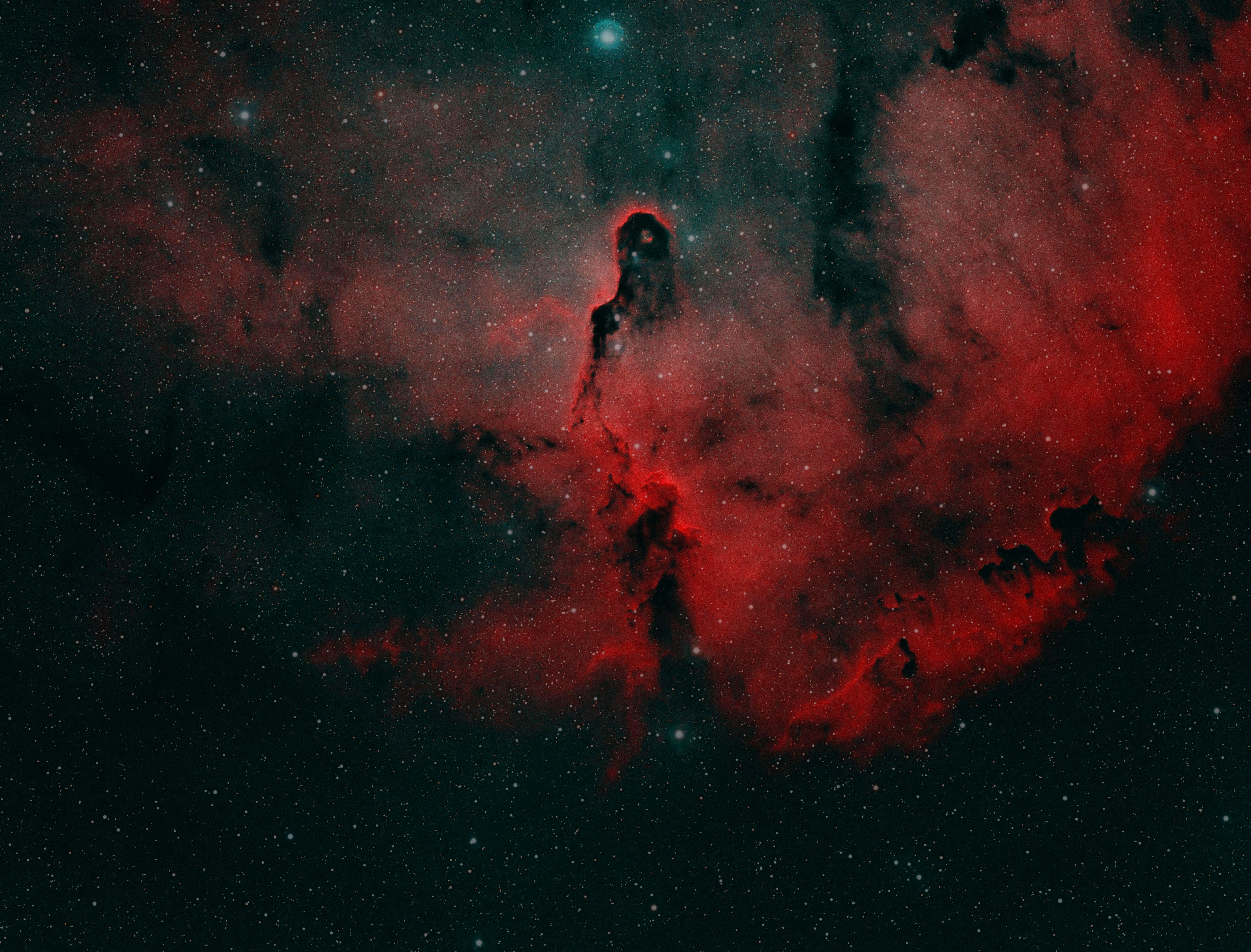 Elephants Trunk Nebula RGBHO sr